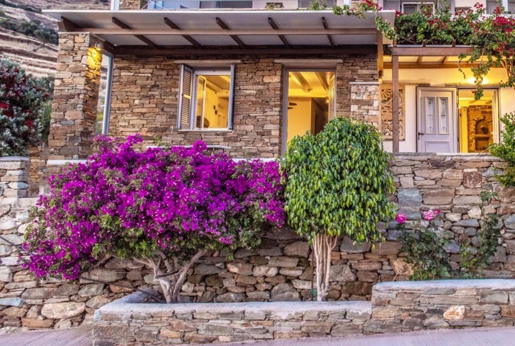 Villa Oikia Petra Agios Ioannis  Exterior foto
